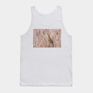 Camouflaged - American Bittern Tank Top